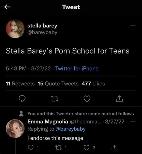 stella barey nude|Stella Barey is Disgusting : r/TTCornStarSnark